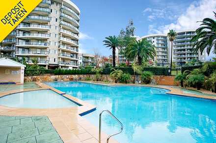 91.101C&D Bridge Rd, Westmead prof.jpg