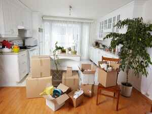 Do-you-need-more-storage-We-can-help_157_6055271_0_14107049_1000.jpg Do-you-need-more-storage-We-can-help_157_6055271_0_14107049_1000.jpg