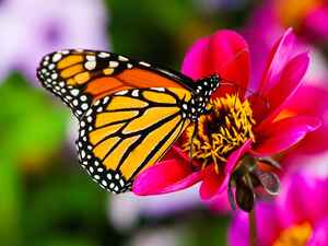Time-to-start-getting-ready-for-spring_157_6055281_0_14099765_1000.jpg Time-to-start-getting-ready-for-spring_157_6055281_0_14099765_1000.jpg