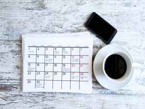The-last-months-of-the-year-offer-great-opportunities-for-buyers-and-sellers-in-Sydney-_157_6058765_0_14103858_1000.jpg The-last-months-of-the-year-offer-great-opportunities-for-buyers-and-sellers-in-Sydney-_157_6058765_0_14103858_1000.jpg