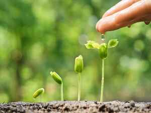 Is-your-garden-getting-the-TLC-it-needs-this-summer-_157_6058809_0_14110159_1000.jpg Is-your-garden-getting-the-TLC-it-needs-this-summer-_157_6058809_0_14110159_1000.jpg